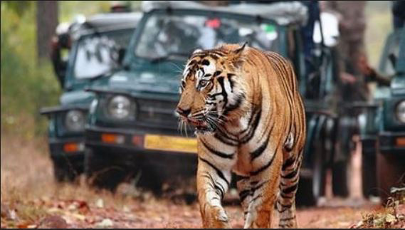 raja ji national park